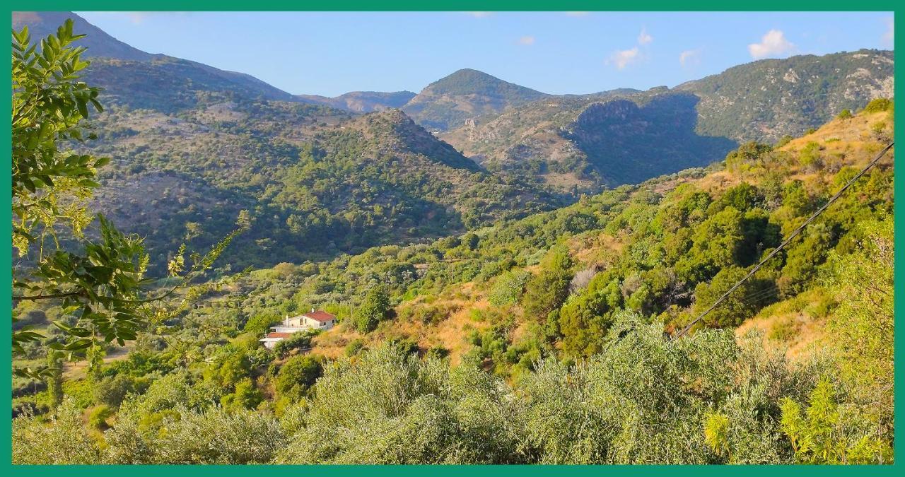 Апартаменты Kampos View Ikaria Эвдилос Экстерьер фото