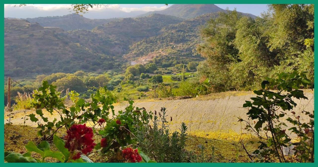 Апартаменты Kampos View Ikaria Эвдилос Экстерьер фото