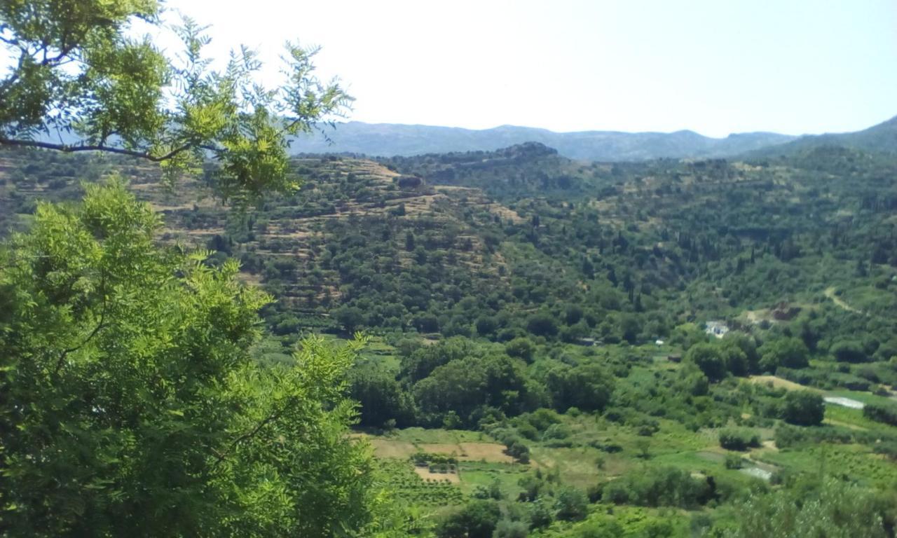 Апартаменты Kampos View Ikaria Эвдилос Экстерьер фото