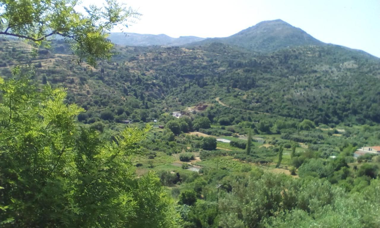 Апартаменты Kampos View Ikaria Эвдилос Экстерьер фото
