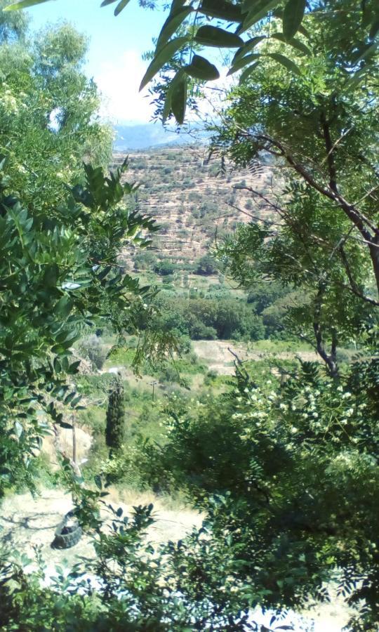 Апартаменты Kampos View Ikaria Эвдилос Экстерьер фото